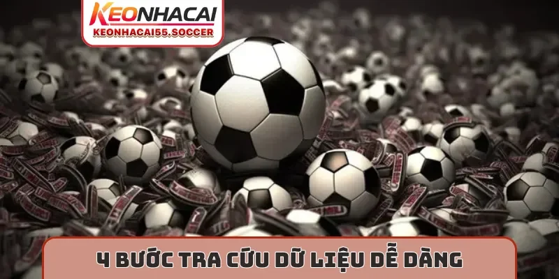 4 bước tra cứu dữ liệu dễ dàng