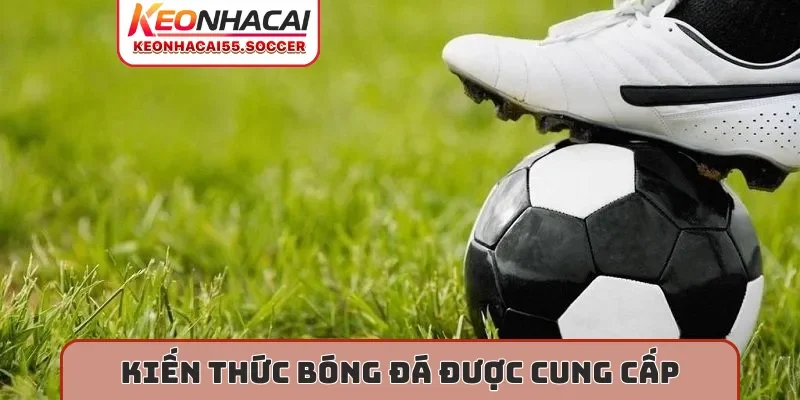 Kiến thức bóng đá được cung cấp