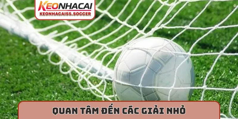 Quan tâm đến các giải nhỏ