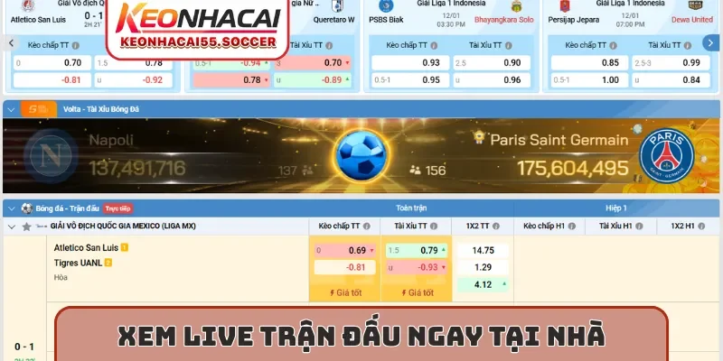 Xem live trận đấu ngay tại nhà